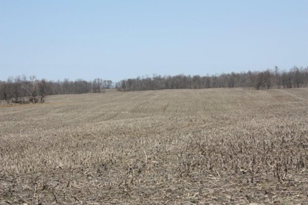 200+/- Acre Land Auction in Gibson County, Indiana